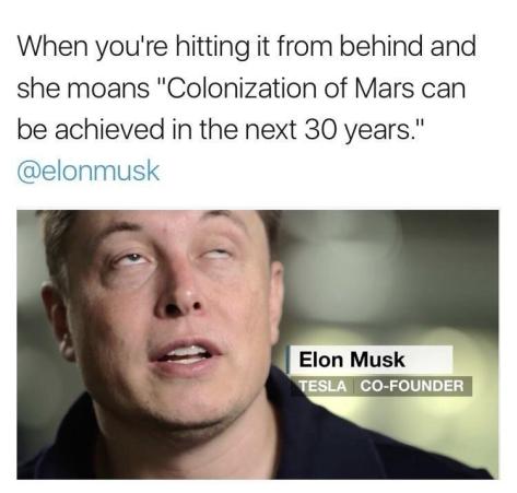 elon musk colonization of mars